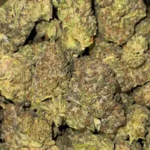 Cheetah Piss-BUY 3oz Get 1 FREE