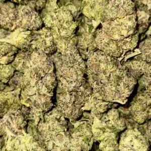 Biscotti-BUY 3oz Get 1 FREE