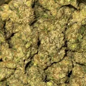 *FIRE SALE* GUAVA-BUY 3oz Get 1 FREE