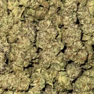 Biscotti-BUY 3oz Get 1 FREE