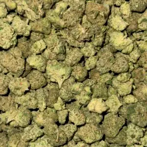 Lemon Cherry Gelato SMALLS-BUY 3oz GET 1oz FREE!