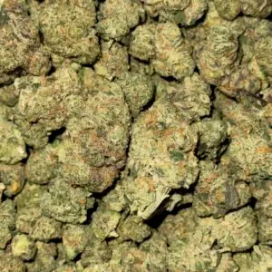 Gelonade SMALLS-BUY 3oz GET 1oz FREE!