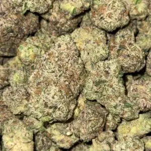 Zootopia-Buy 3oz Get 1oz Free