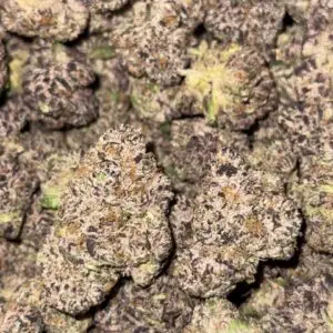 Purple Reign-Buy 3oz Get 1oz Free