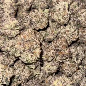 Obama Runtz-Buy 3oz Get 1oz Free