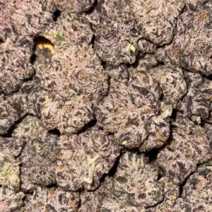 Zootopia-Buy 3oz Get 1oz Free