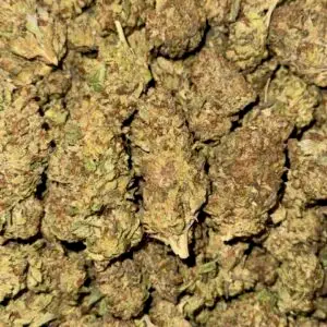 Cookie Glue-BUY 3oz Get 1 FREE