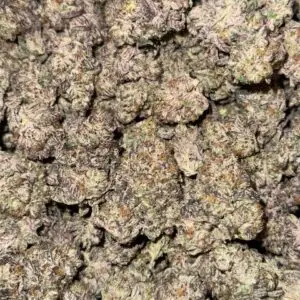 Project 45/16-Buy 3oz Get 1oz Free