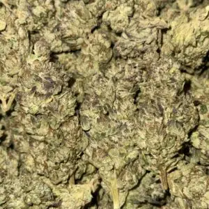 Gorilla Butter-BUY 3oz Get 1 FREE