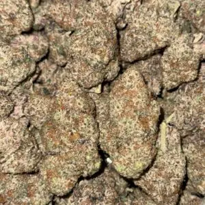 GMO Cookies-Buy 3oz Get 1oz Free