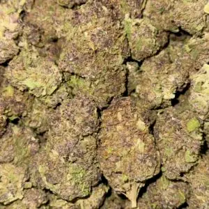 Black Domina-BUY 3oz Get 1 FREE