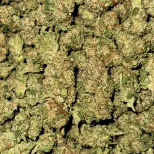 Sherbert-BUY 3oz Get 1 FREE