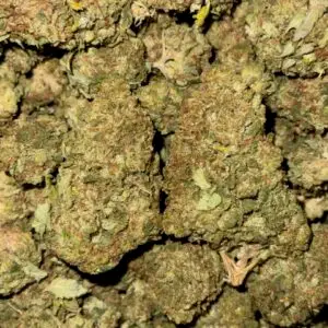 Guava Punch-BUY 3oz Get 1 FREE