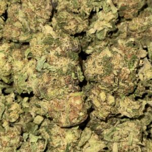 Gelato-BUY 3oz Get 1 FREE