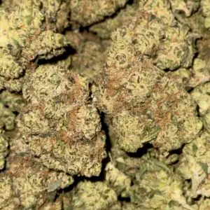 *Budget Indoor* Lemon Cherry-BUY 3oz Get 1 FREE