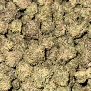 Candy Land Indoor SMALLS-Buy 3oz Get 1oz Free