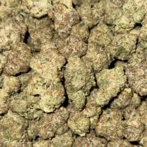 Lemon Cherry Gelato Indoor SMALLS-Buy 3oz Get 1oz Free