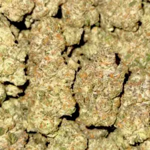 Galactic Funk-Buy 3oz Get 1oz Free