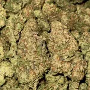 Black Runtz-BUY 3oz Get 1 FREE