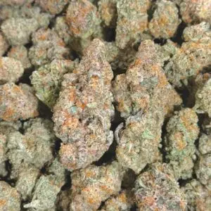 Nimbus Snacks-Buy 3oz Get 1oz Free