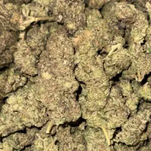 Durban Poison-BUY 3oz Get 1 FREE