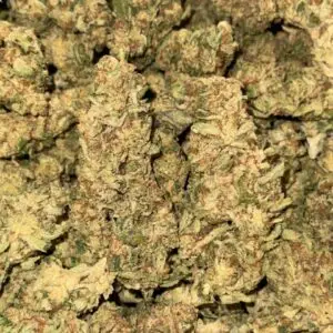 Jealousy Driver-BUY 3oz Get 1 FREE