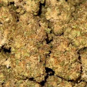 Cherry OG-BUY 3oz Get 1 FREE