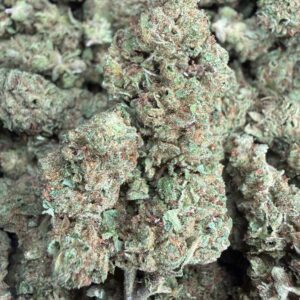 Bigfoot GLue-BUY 3oz Get 1 FREE