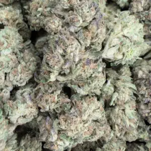 Lemon Cherry Gelato-BUY 3oz Get 1 FREE