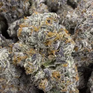 Biscotti Gushers-Buy 3oz Get 1oz Free