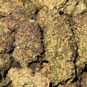 Gelato 43-BUY 3oz Get 1 FREE