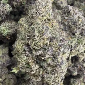 Bolo Runtz (60/40 Indica)-Buy 3oz Get 1oz Free