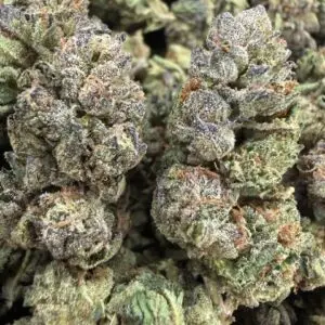 Gelato 33
