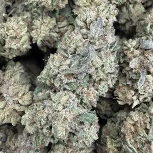 Jet Fuel Gelato-BUY 3oz Get 1 FREE