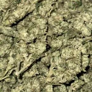 LCG greenhouse smalls-BUY 3oz Get 1 FREE