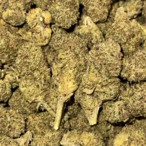 Lemon Tree-BUY 3oz Get 1 FREE