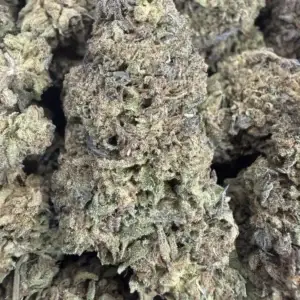 Cheetah Piss (50/50 Hybrid)