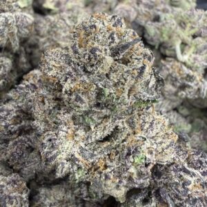 Purple Reign
