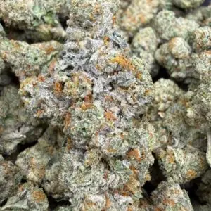 Lobster Butter (🟣 65/35 Indica Hybrid | 30% THC)