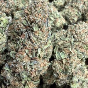 Grape Gas (🟢 Balanced Hybrid)
