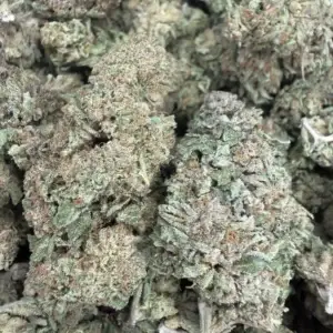 NY Diesel (60/40 Sativa)