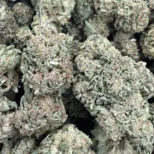 Tangerine Dream (50/50 Hybrid)