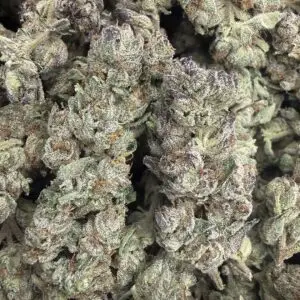 Blueberry Cruffin (🟣 Indica 70/30)