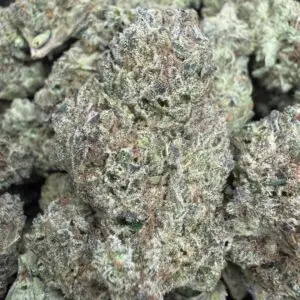 Frosted Bullz