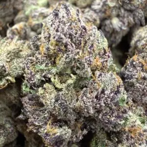 Purple Reign
