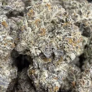 Biscotti Gushers
