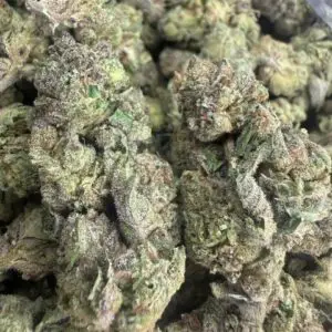 🟢 Cookie Glue • 50/50 Hybrid • 22% THC