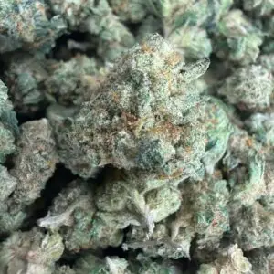 🟢 Lemon Tree — 50/50 Hybrid — 23% THC