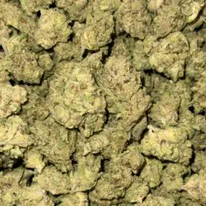 *BUDGET* Purple Punch