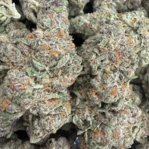 🟣 Best Kept Secret • 60/40 Indica Hybrid • 26% THC